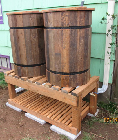 NewLife Double Barrel System