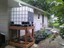 Garden Bed System