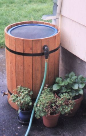 Rainbarrel With Standard Over Flow.