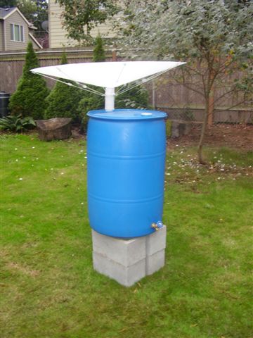 Drum with single Rainsaucer on cinder blocks